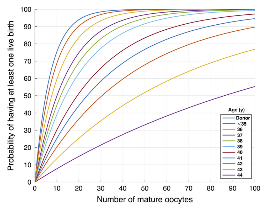 ovulos criopreservados